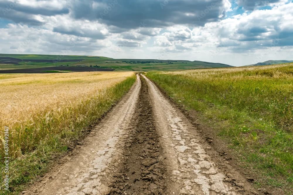 Участок на 10 сотках
